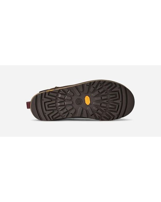 Ugg Classic Mini Gtx Boot Für Herren in Brown für Herren