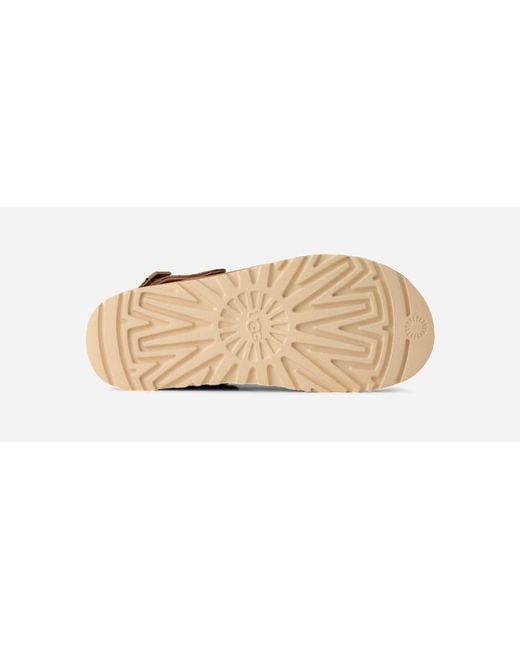 Ugg Brown Goldenstar Clog Für Damen