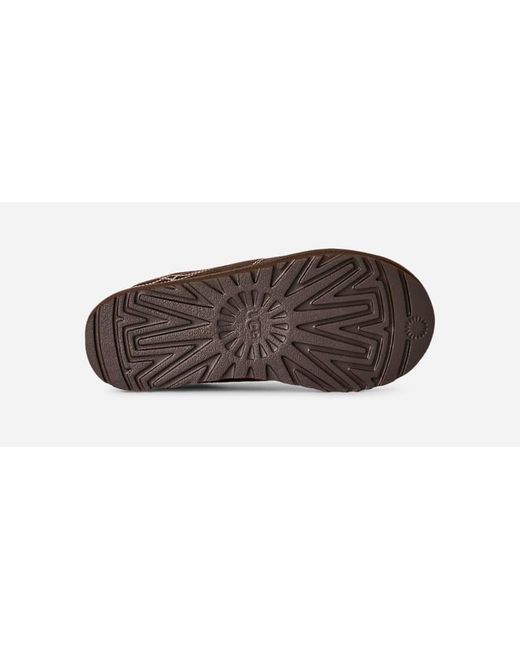 Tasman Western Ugg en coloris Brown