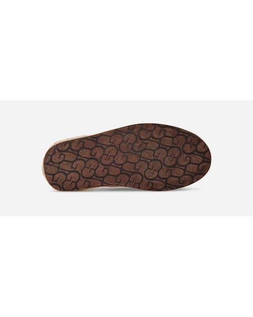 Ugg Scuff Für Herren in Brown für Herren