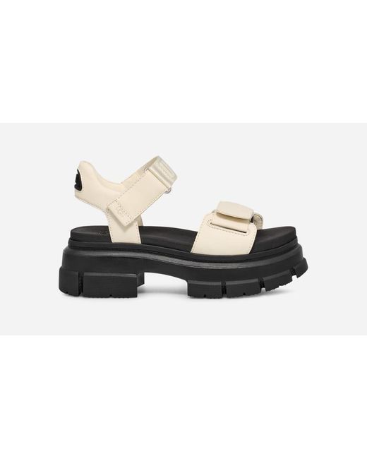 Ugg Black ® Ashton Ankle Fabric/nubuck Sandals