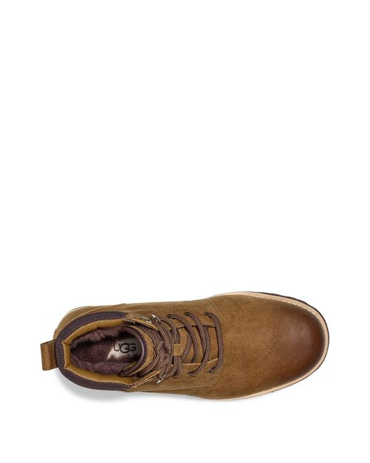 ugg seton chestnut