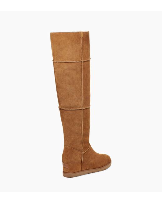 ugg femme prime ugg femme prime
