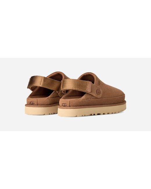 Ugg Brown Goldenstar Clog Für Damen