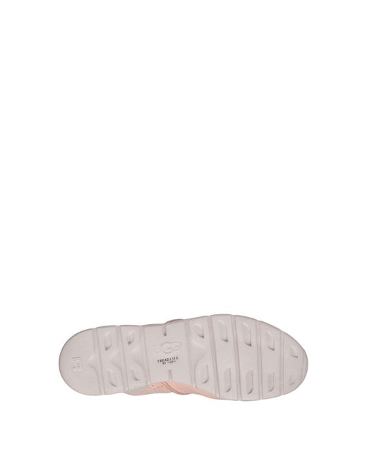 ugg trainers tye