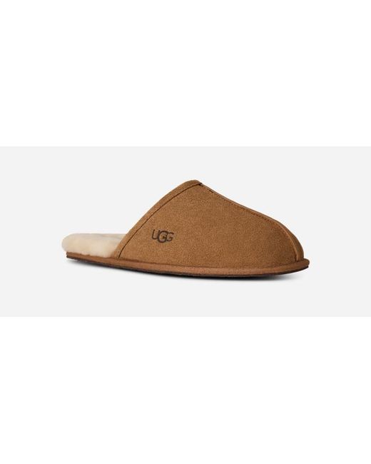 Ugg Scuff Für Herren in Brown für Herren