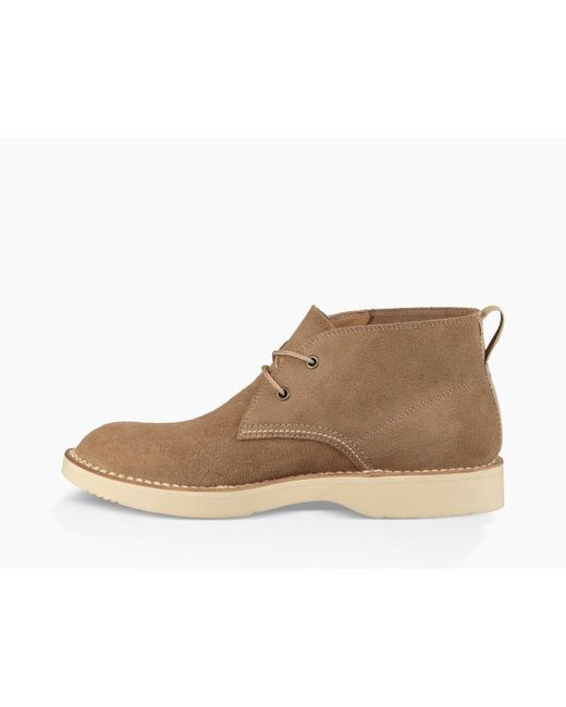 ugg camino chukka boot