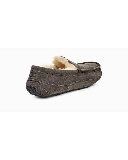 ugg ascot slipper charcoal