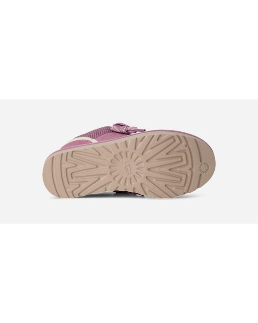 Ugg Black Lowmel Für Damen