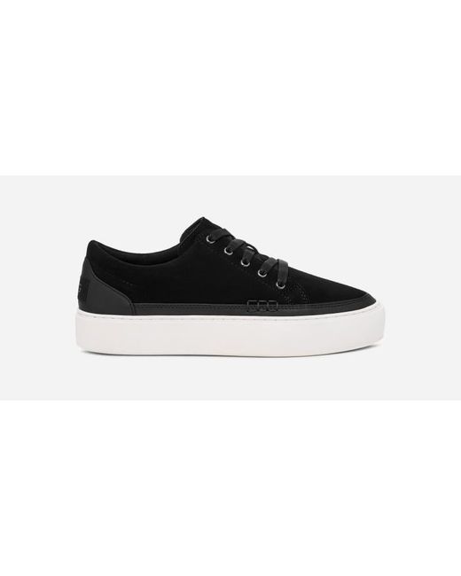 Ugg Black Zilo Lace Up Sneaker For