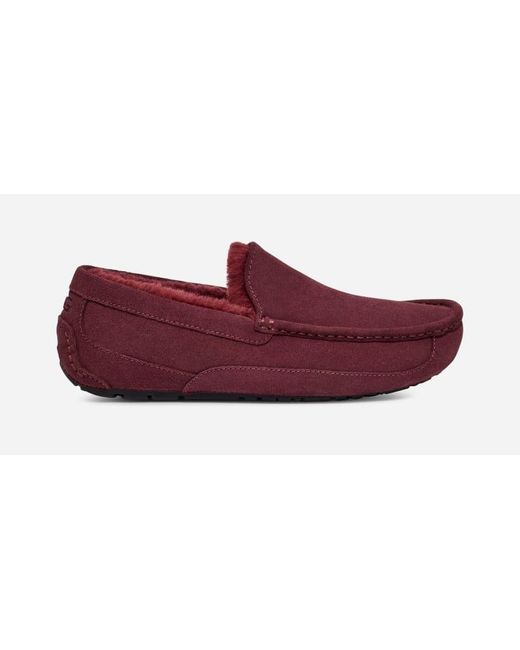 Ugg Red ® Ascot Slipper Suede Slippers for men