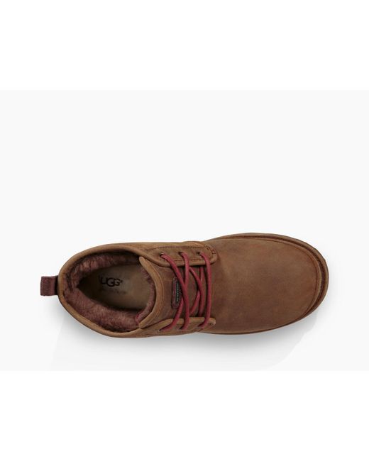 mens ugg neumel waterproof