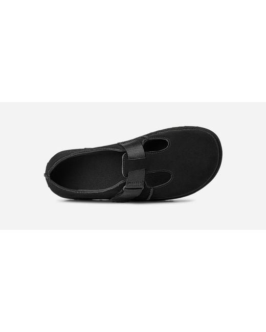 Flats Ugg en coloris Black