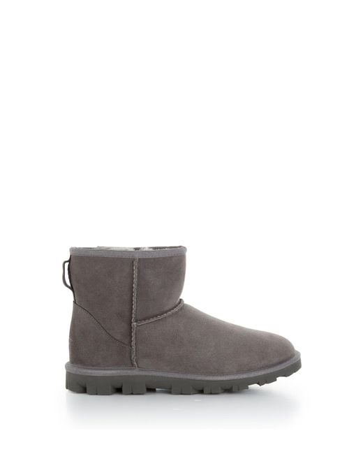 grey classic ugg boots
