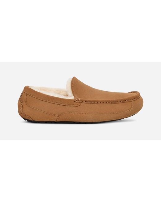 Ugg Black ® Ascot Slipper for men