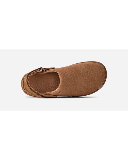 Ugg Brown Goldenstar Clog Für Damen