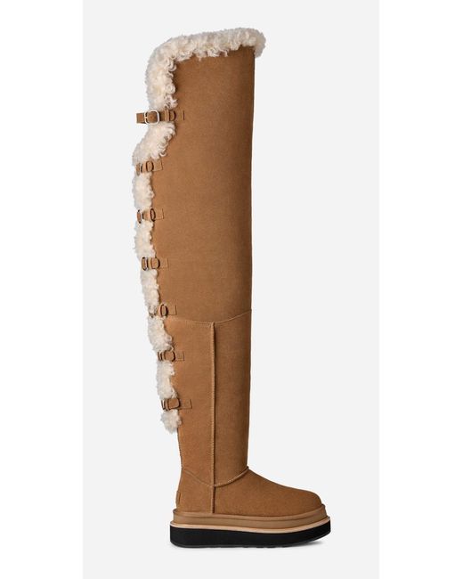 Ugg Brown Sacai Thigh High Boot