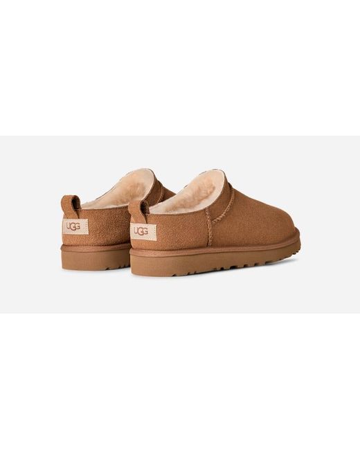 Ugg Classic Micro Boot Für Herren in Brown für Herren