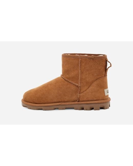 Ugg Brown Essential Mini Boot Für Damen