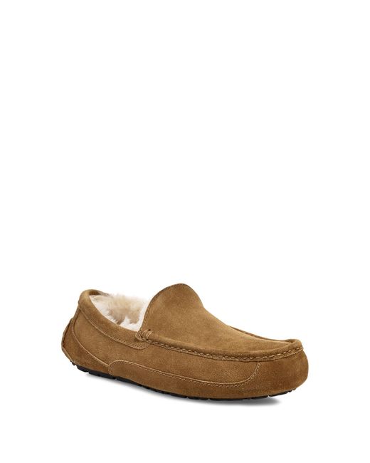 UGG Ascot Slipper Suede in Tan Suede (Brown) for Men - Lyst