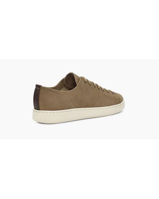 pismo sneaker low leather