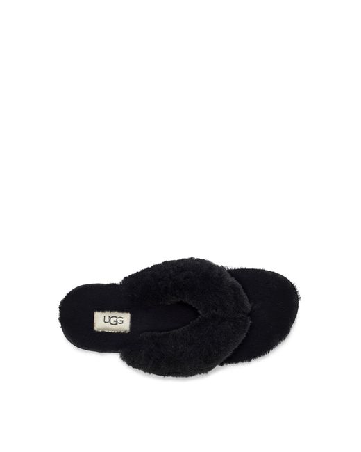 ugg fluff flip flops