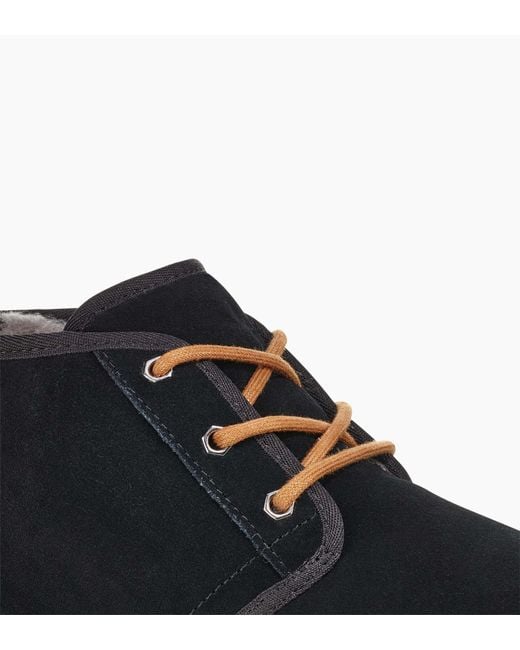 Ugg Brown Men's Replacement Lace for men