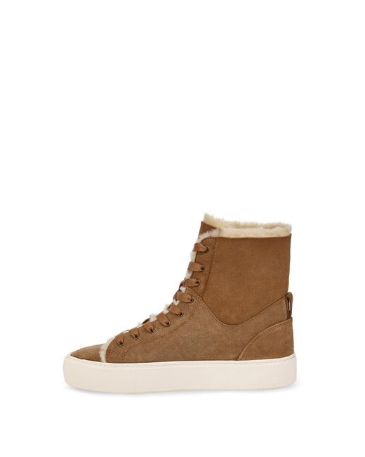 beven suede trainer