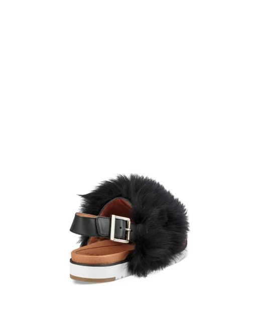 holly boots that look like uggs