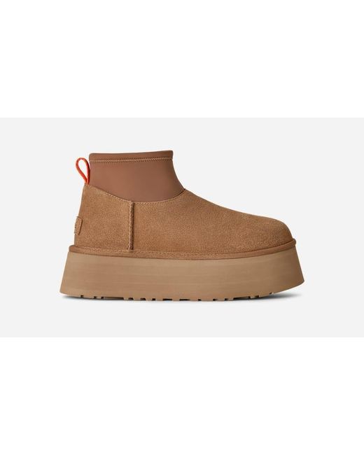 Ugg Classic Mini Dipper Chestnut Laars in het Brown
