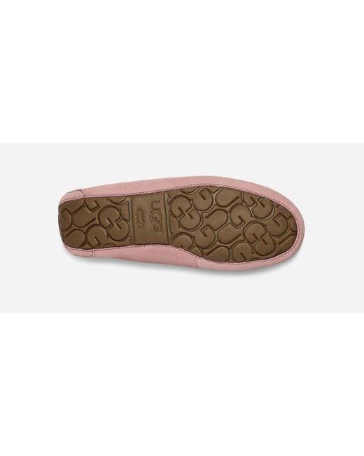 Ansley Chaussons pour in Lavender Shadow, Taille 36, Daim Ugg en coloris Black