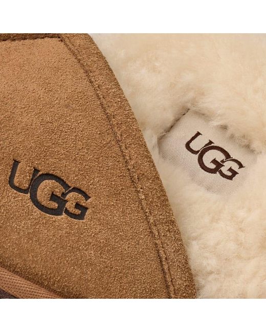 Ugg Scuff Für Herren in Brown für Herren