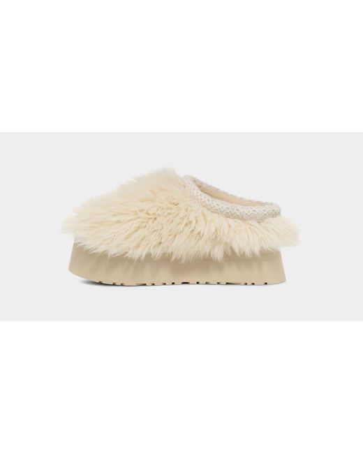 UGG Women's Fluff Momma Sugar Tasman Fluff Momma Sugar Tasman in