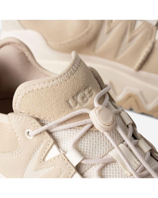 Basket ugg homme sale