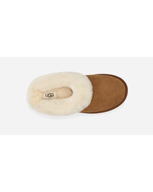 Clette Chaussons Pour Femme Ugg en coloris Black