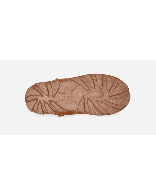 Ugg Brown Essential Mini Boot Für Damen