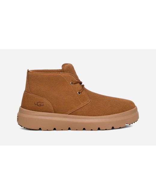 Chukka trainers shop