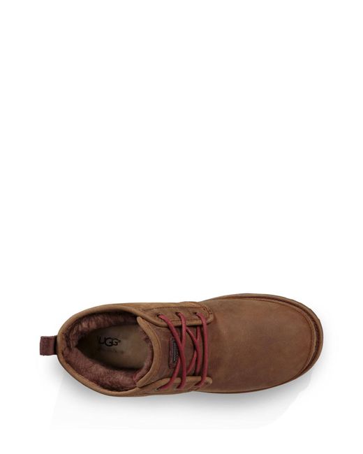 ugg chukka waterproof