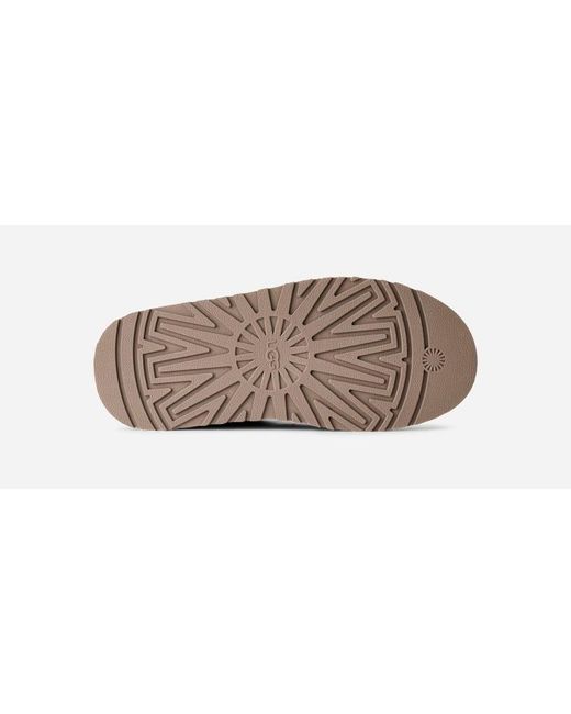 Tazz Botanic Ugg en coloris Brown