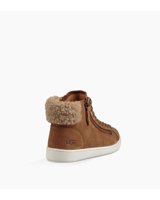 Ugg olive leather and sheepskin sneaker shop