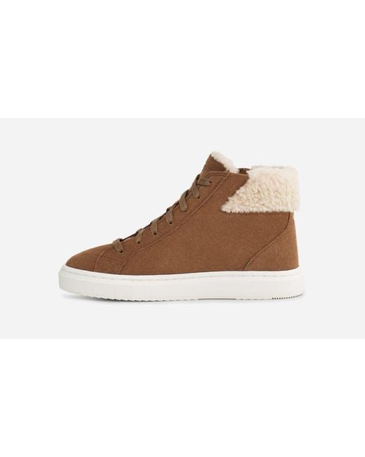 Basket mi haute cheap