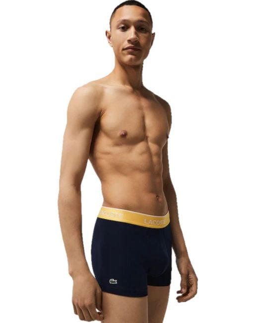 Lacoste 3 Pack Trunk Boxer Shorts Aw21 in Navy (Blue) for Men - Lyst