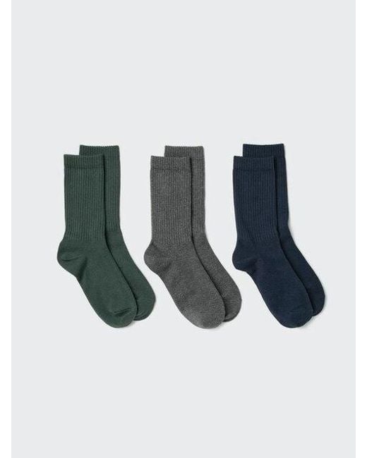 Uniqlo Blue Socks (Ribbed, 3 Pairs)