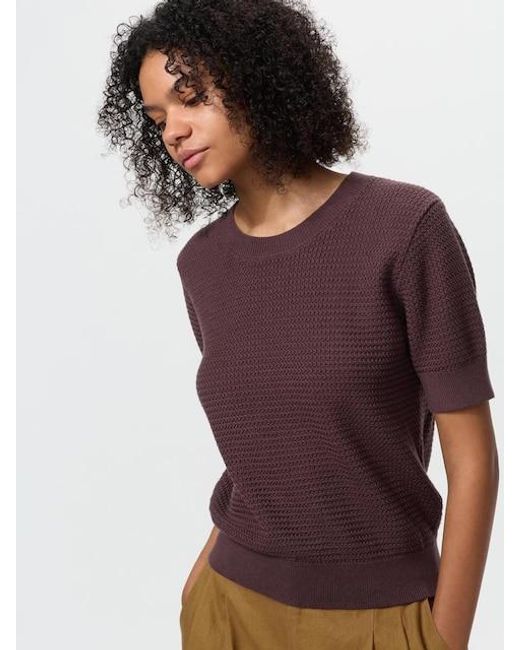 Uniqlo Purple Cotton Crew Neck Jumper (Short Sleeve)