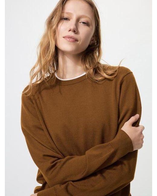 Uniqlo Brown 100% Merino Crew Neck Jumper