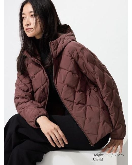 Uniqlo Brown Puffertech Parka