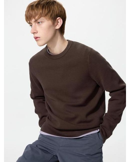 Uniqlo Brown Washable Milano Ribbed Crew Neck Jumper for men
