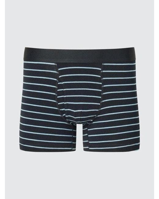 Uniqlo Blue Cotton Boxer Briefs (Striped) for men