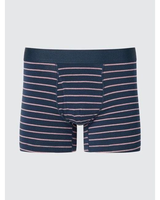 Uniqlo Blue Cotton Boxer Briefs (Striped) for men