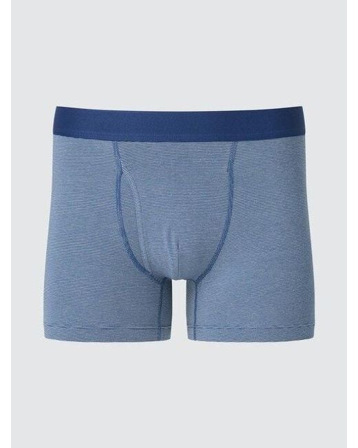 Uniqlo Blue Cotton Boxer Briefs (Striped) for men